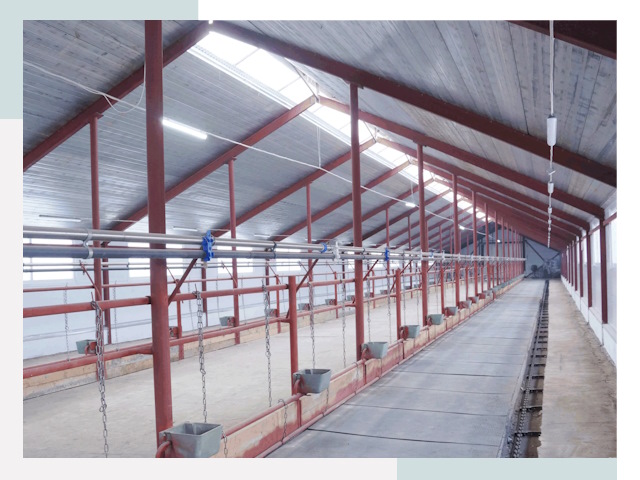 Строительство коровников в Юрге от 642 руб.