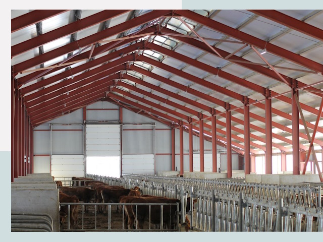 Строительство коровников в Юрге