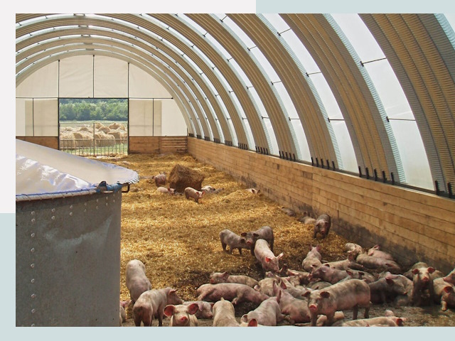 Строительство свинарников в Юрге