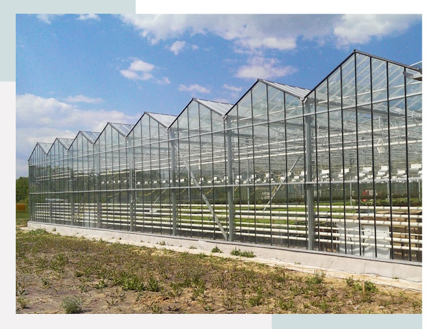 Строительство теплиц в Юрга от 642 руб. за м²